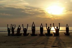 Yoga Teacher Training Thailand | Live Yoga Thailand