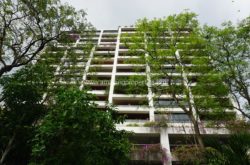 Polo Park- Rent Condo Ploenchit